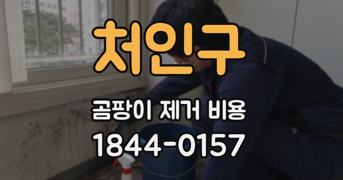 처인구 곰팡이 제거 비용