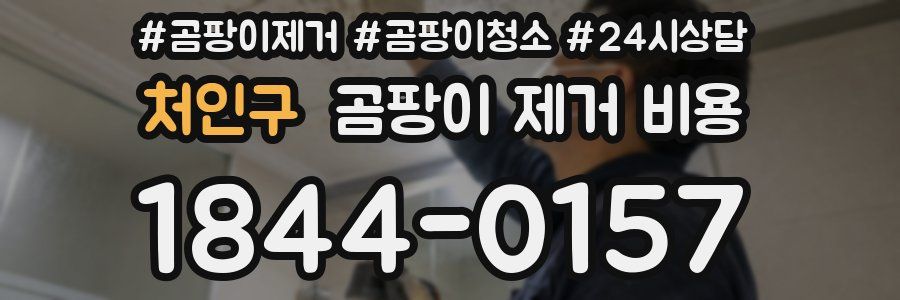 처인구 곰팡이 제거 비용