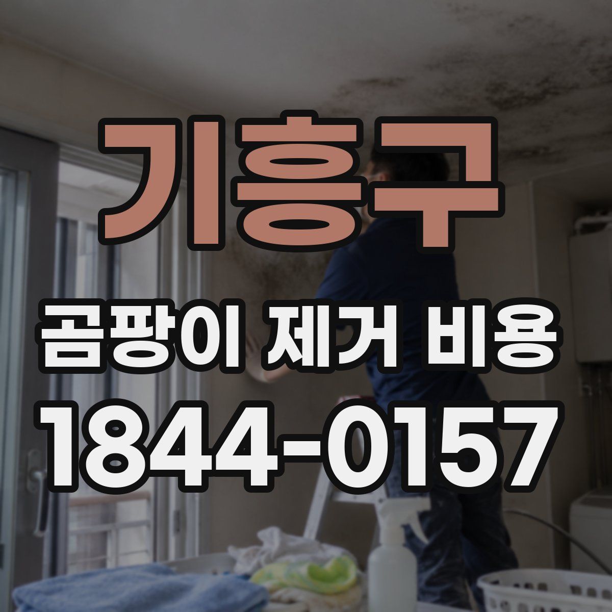기흥구 곰팡이 제거 비용