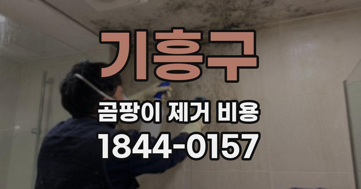 기흥구 곰팡이 제거 비용