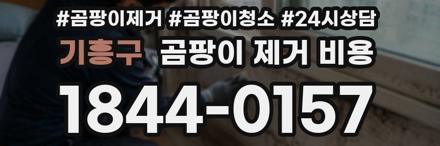 기흥구 곰팡이 제거 비용
