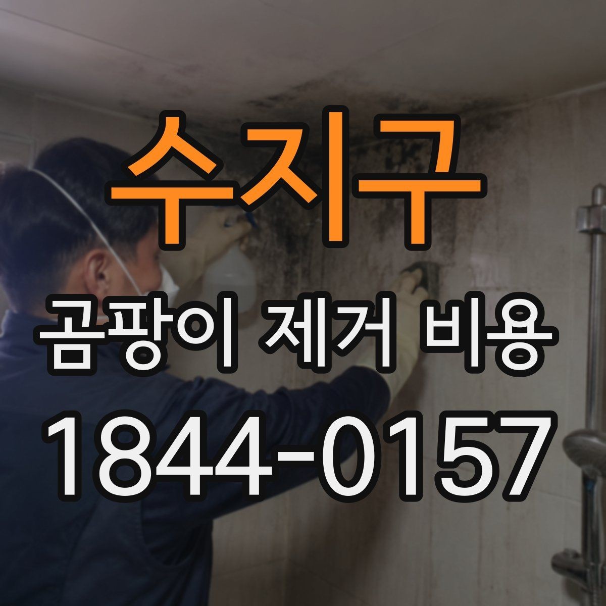 수지구 곰팡이 제거 비용 벽지와 천장 시공별 차이 살펴보기