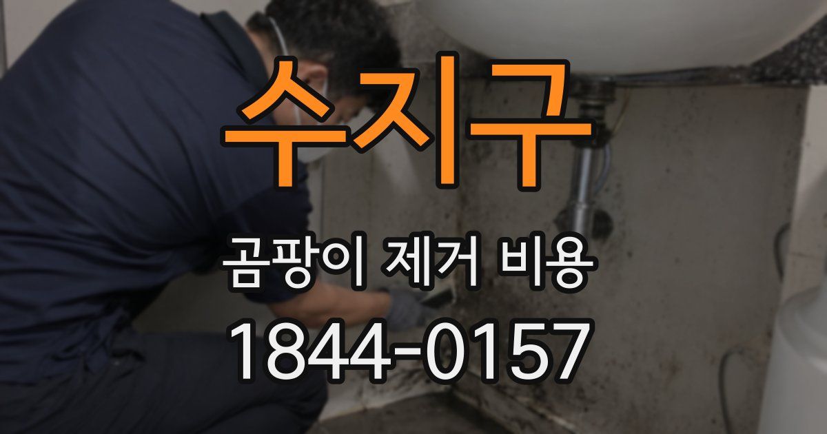 수지구 곰팡이 제거 비용