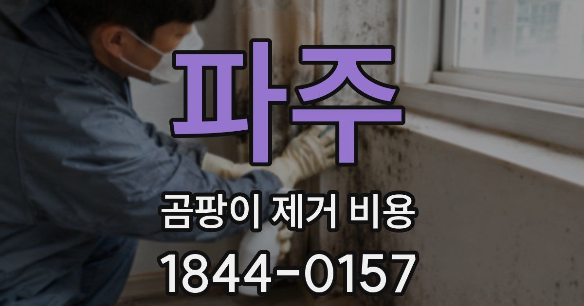 파주 곰팡이 제거 비용
