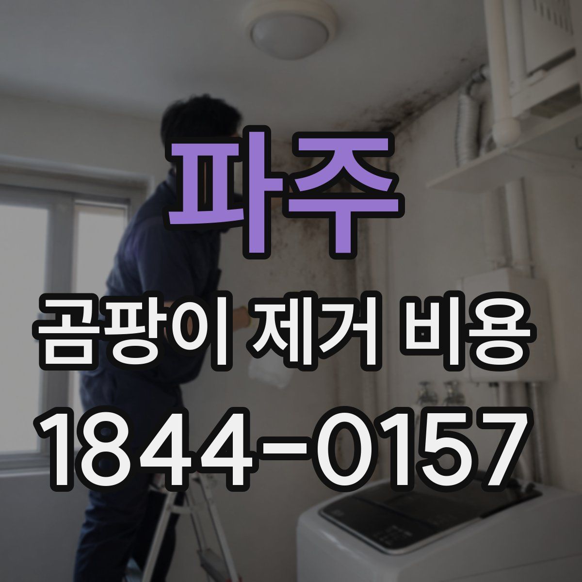 파주 곰팡이 제거 비용