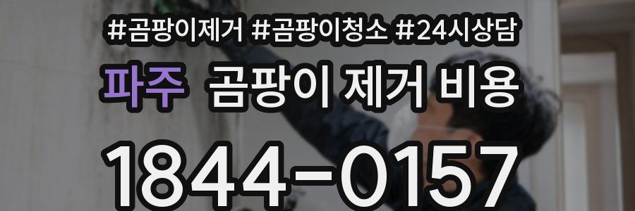 파주 곰팡이 제거 비용