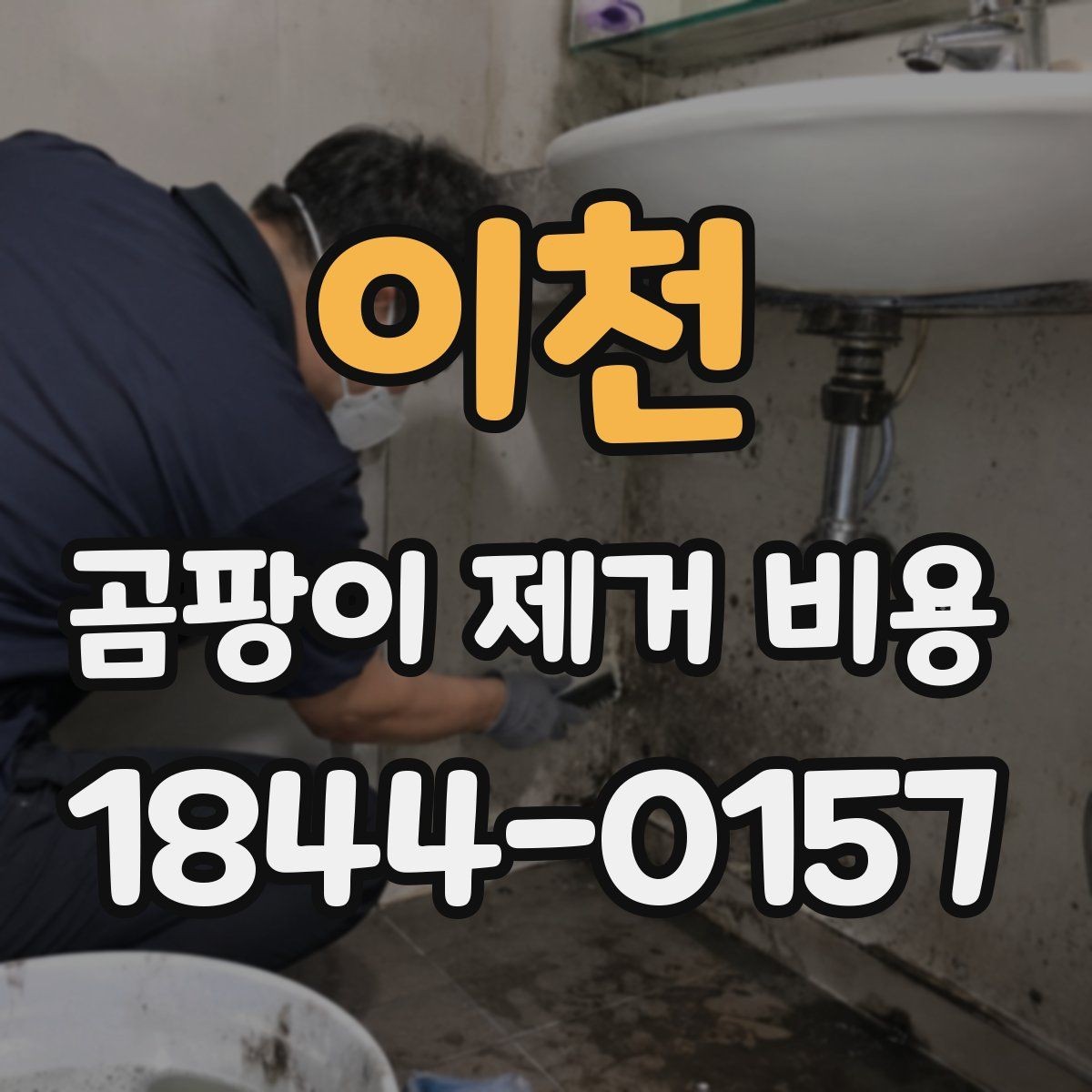 이천 곰팡이 제거 비용 벽지 손상 정도에 따라 달라지는 항목