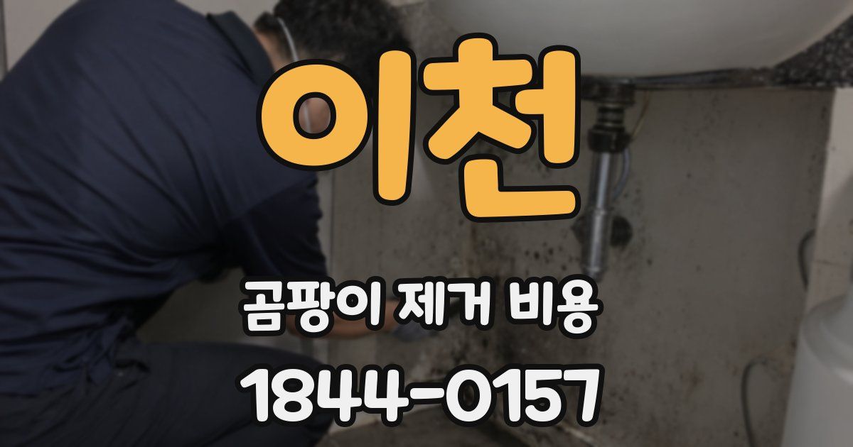 이천 곰팡이 제거 비용