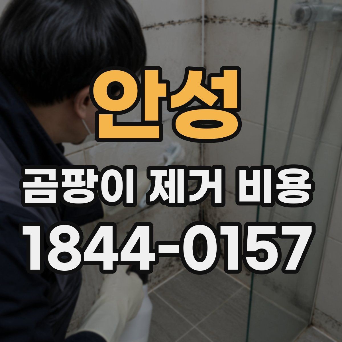 안성 곰팡이 제거 비용 방치 기간이 길면 무엇이 늘어날까