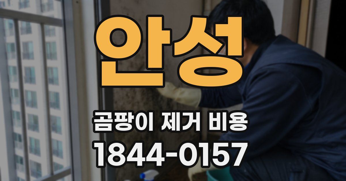 안성 곰팡이 제거 비용
