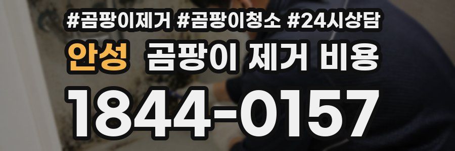 안성 곰팡이 제거 비용