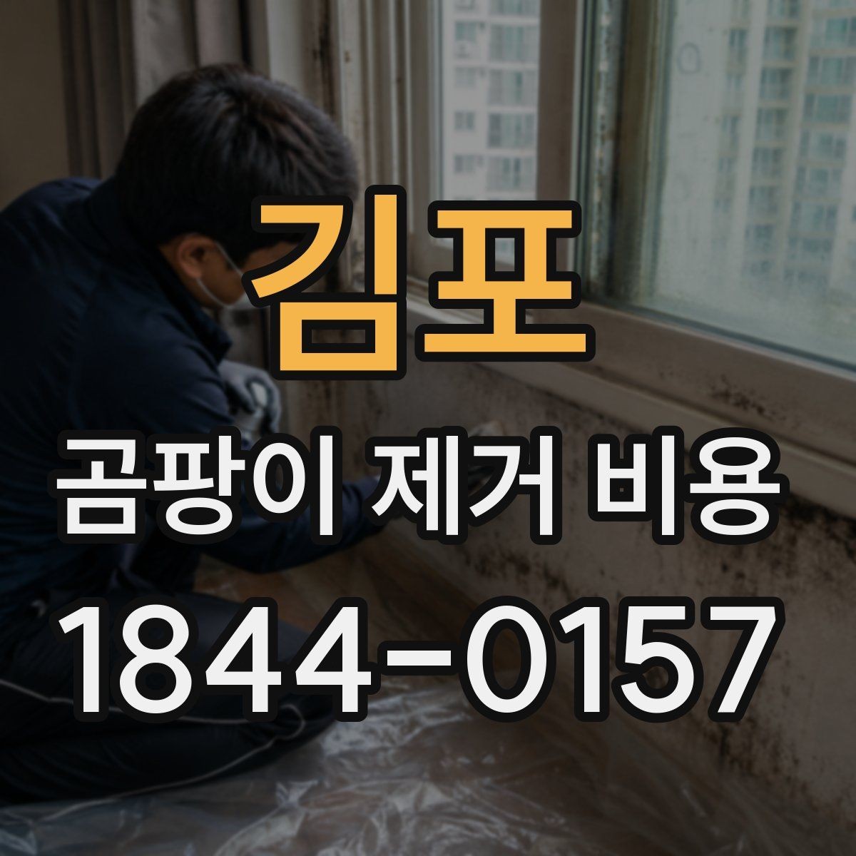 김포 곰팡이 제거 비용 곰팡이 번짐 정도에 따라 달라지는 항목