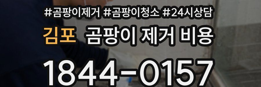 김포 곰팡이 제거 비용