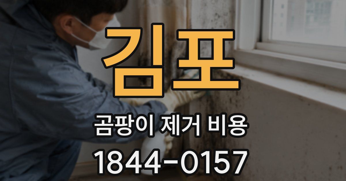 김포 곰팡이 제거 비용