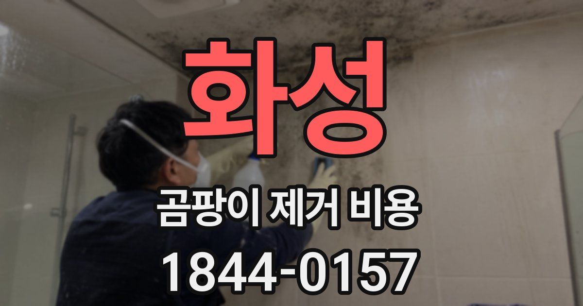 화성 곰팡이 제거 비용