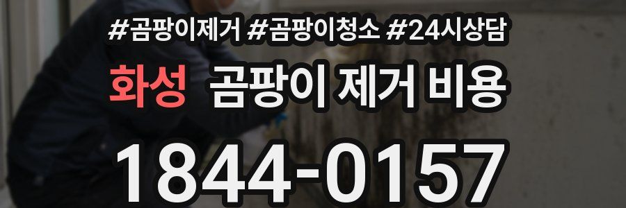 화성 곰팡이 제거 비용