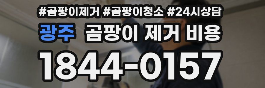 광주 곰팡이 제거 비용