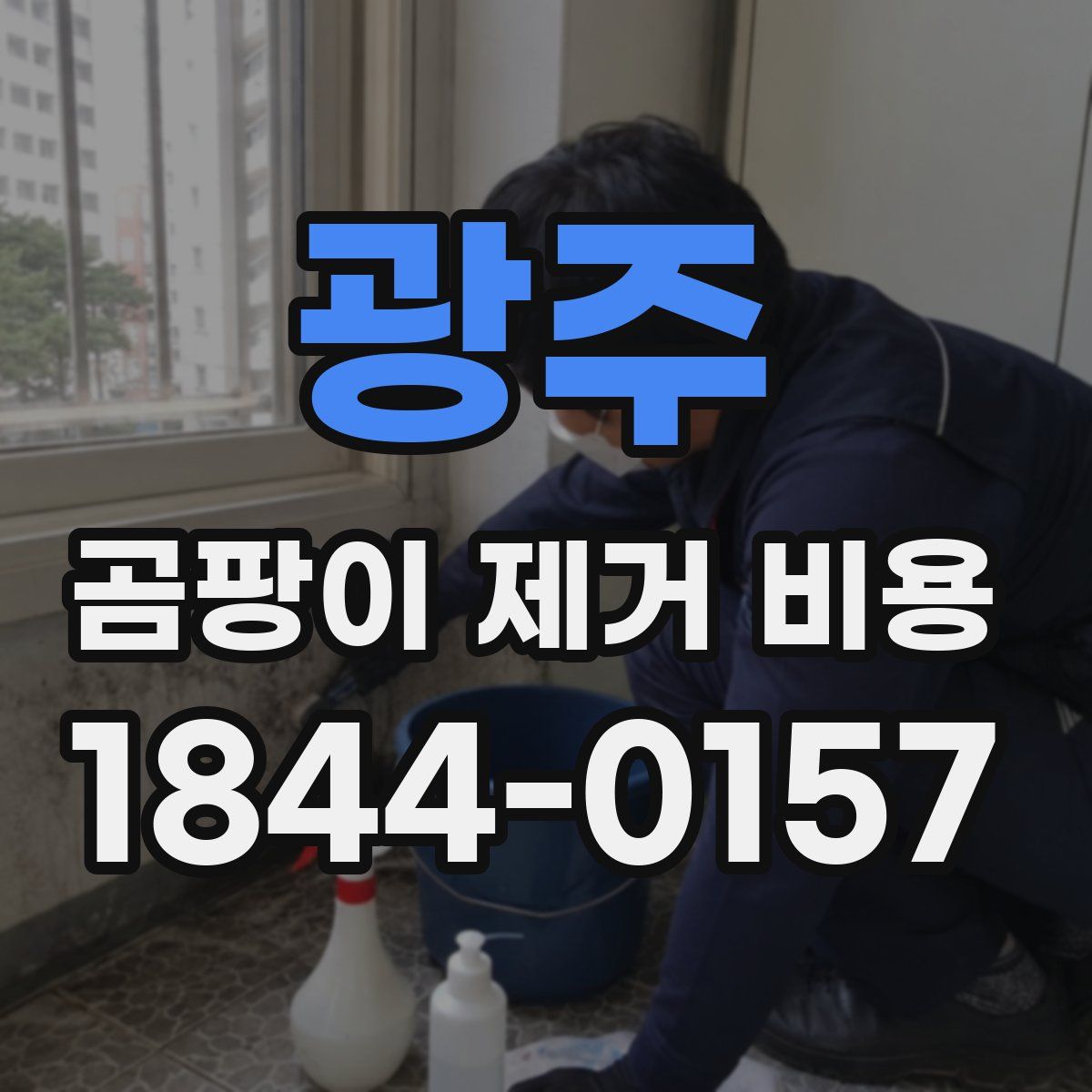광주 곰팡이 제거 비용