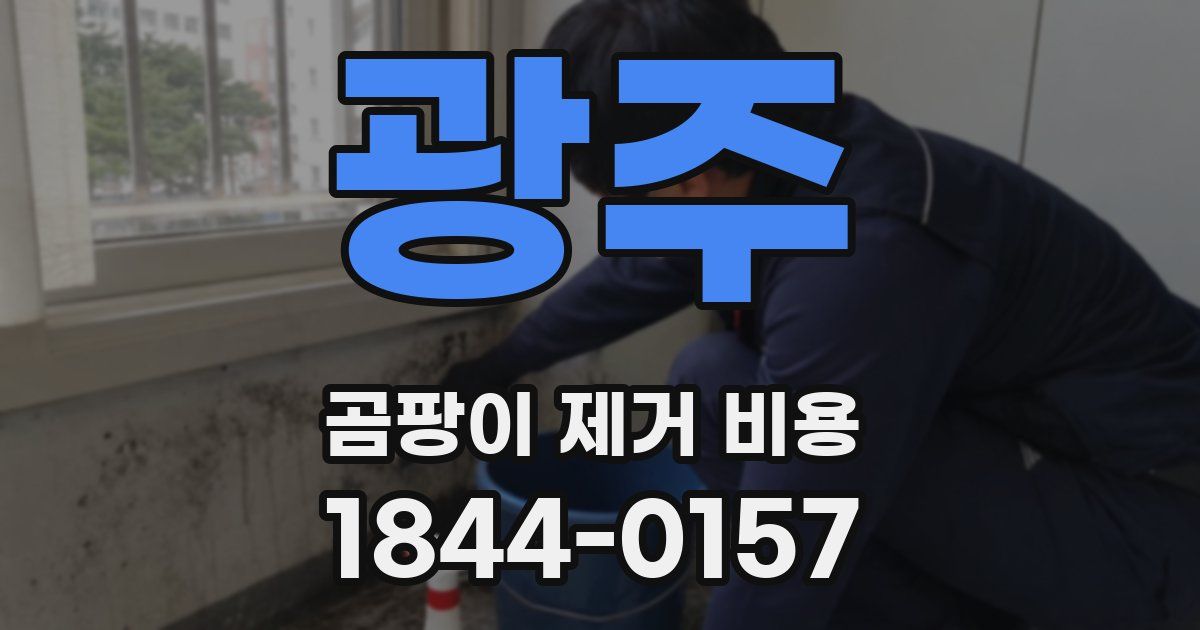 광주 곰팡이 제거 비용