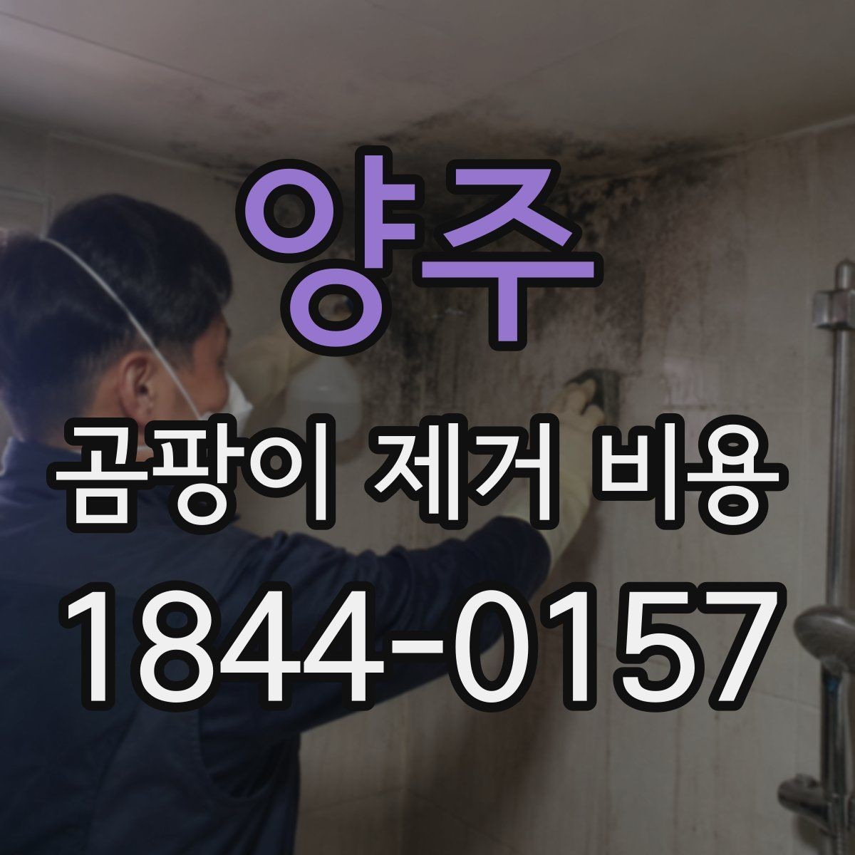 양주 곰팡이 제거 비용 욕실 오염과 거실 오염의 처리 기준