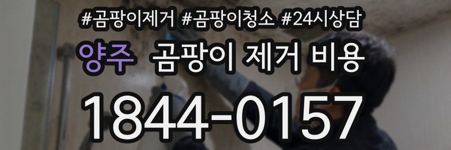 양주 곰팡이 제거 비용