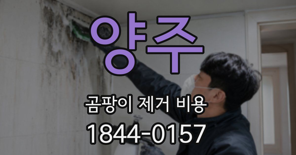 양주 곰팡이 제거 비용