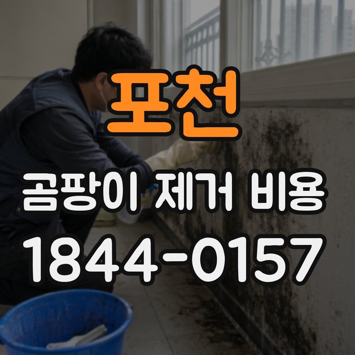 포천 곰팡이 제거 비용 벽지 교체가 필요한 경우와 아닌 경우