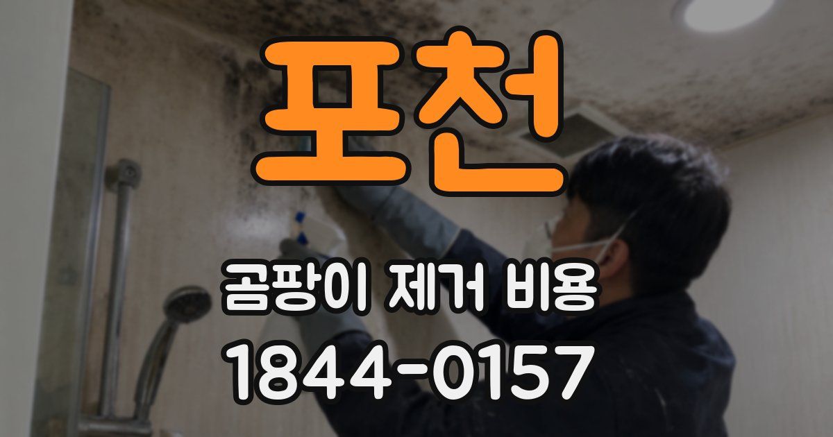 포천 곰팡이 제거 비용