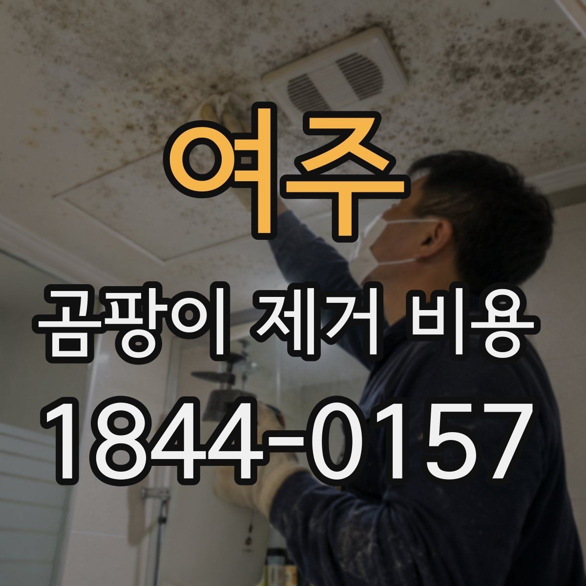 여주 곰팡이 제거 비용 전체 보수가 필요한 집의 공통 조건