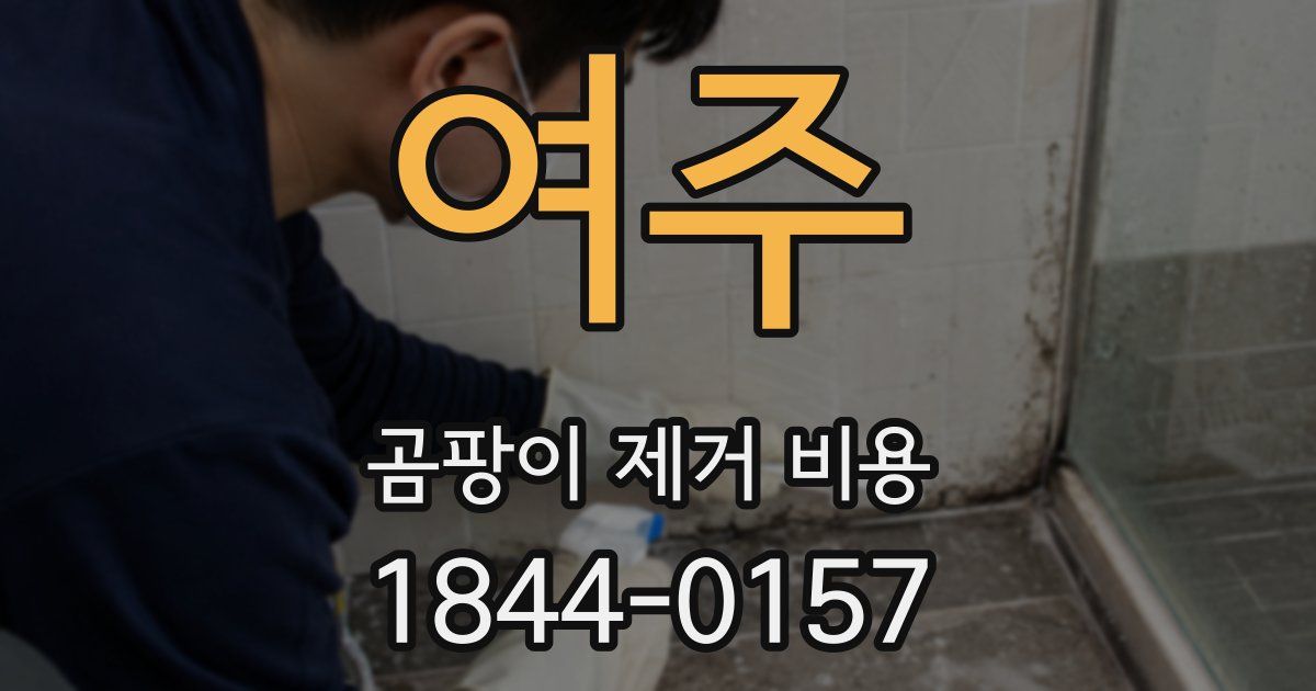 여주 곰팡이 제거 비용