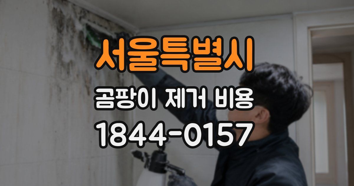 서울특별시 곰팡이 제거 비용