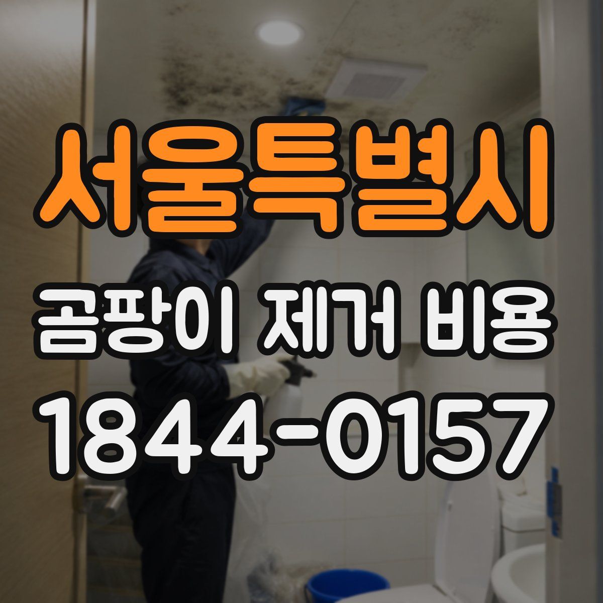 서울특별시 곰팡이 제거 비용