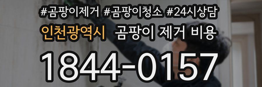 인천광역시 곰팡이 제거 비용