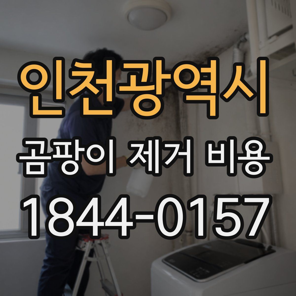 인천광역시 곰팡이 제거 비용