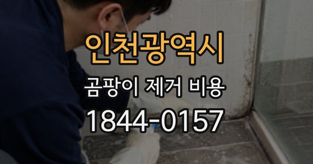 인천광역시 곰팡이 제거 비용