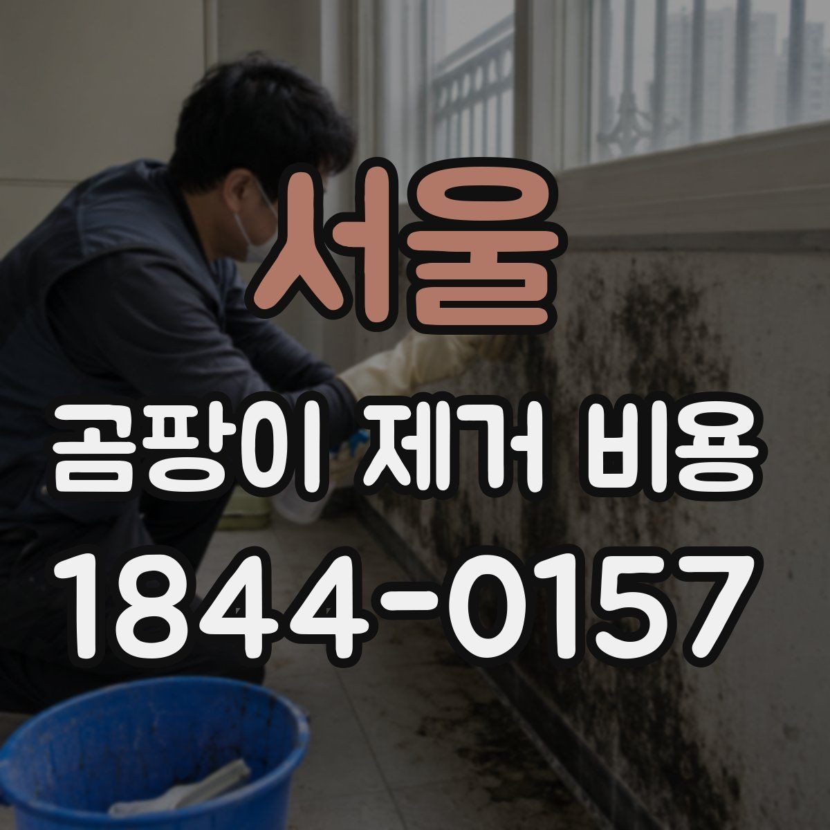 서울 곰팡이 제거 비용 추가 복구 공정이 붙는 대표적인 상황