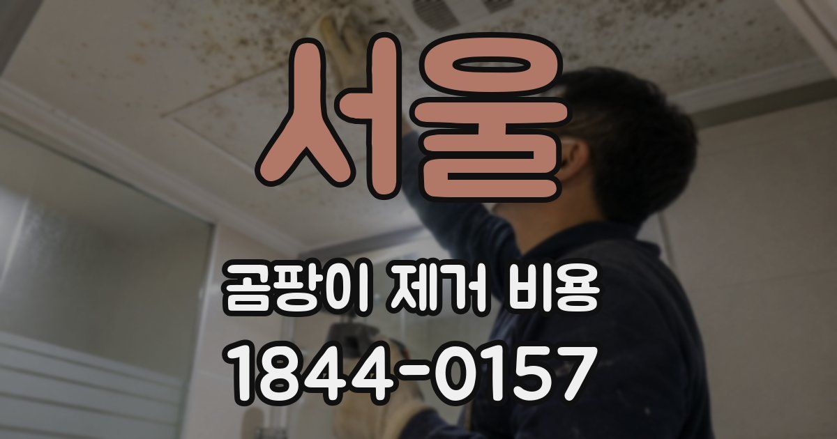 서울 곰팡이 제거 비용