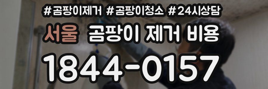 서울 곰팡이 제거 비용