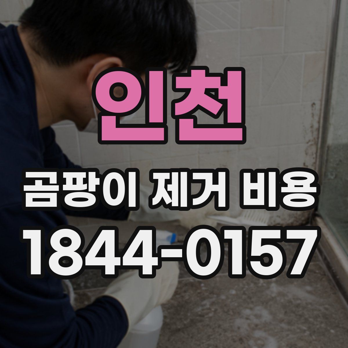 인천 곰팡이 제거 비용