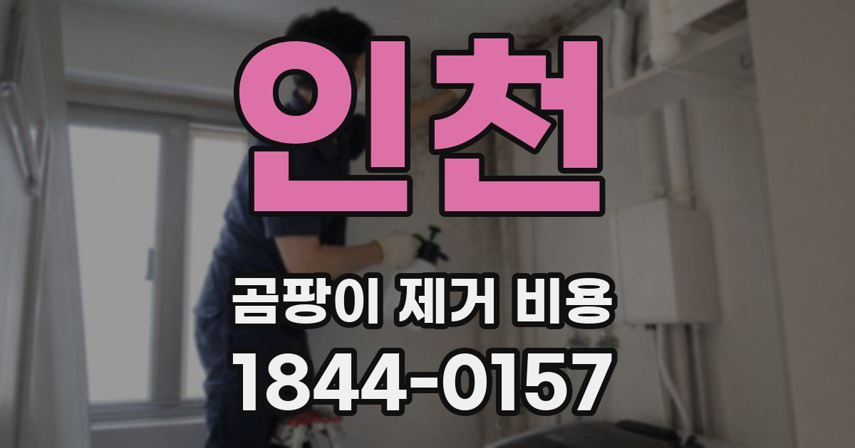 인천 곰팡이 제거 비용