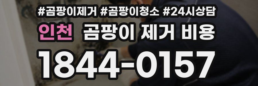 인천 곰팡이 제거 비용