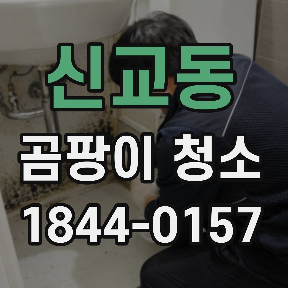 신교동 곰팡이 청소 단열 문제를 먼저 살펴야 하는 이유