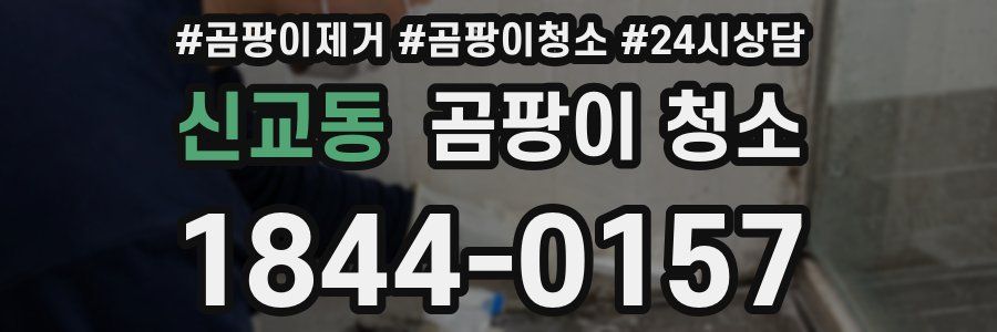 신교동 곰팡이 청소