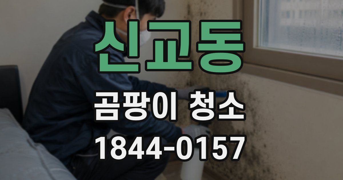 신교동 곰팡이 청소