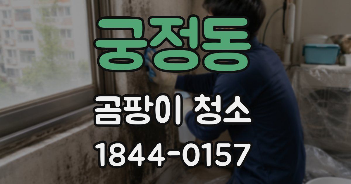 궁정동 곰팡이 청소
