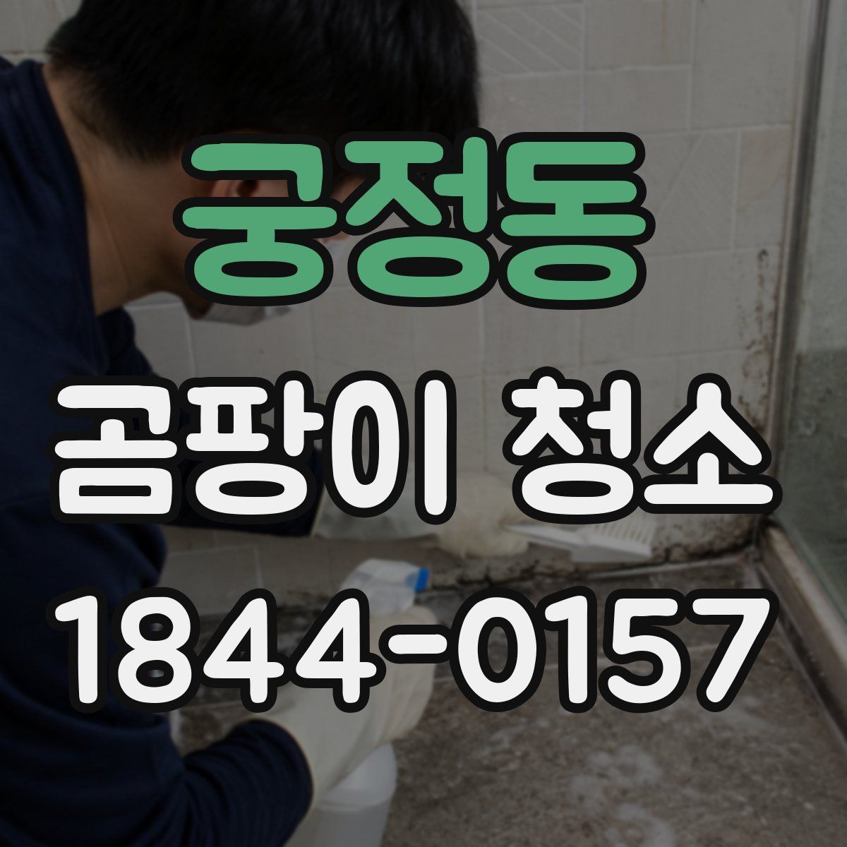 궁정동 곰팡이 청소