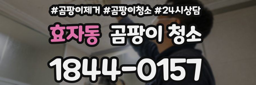 효자동 곰팡이 청소