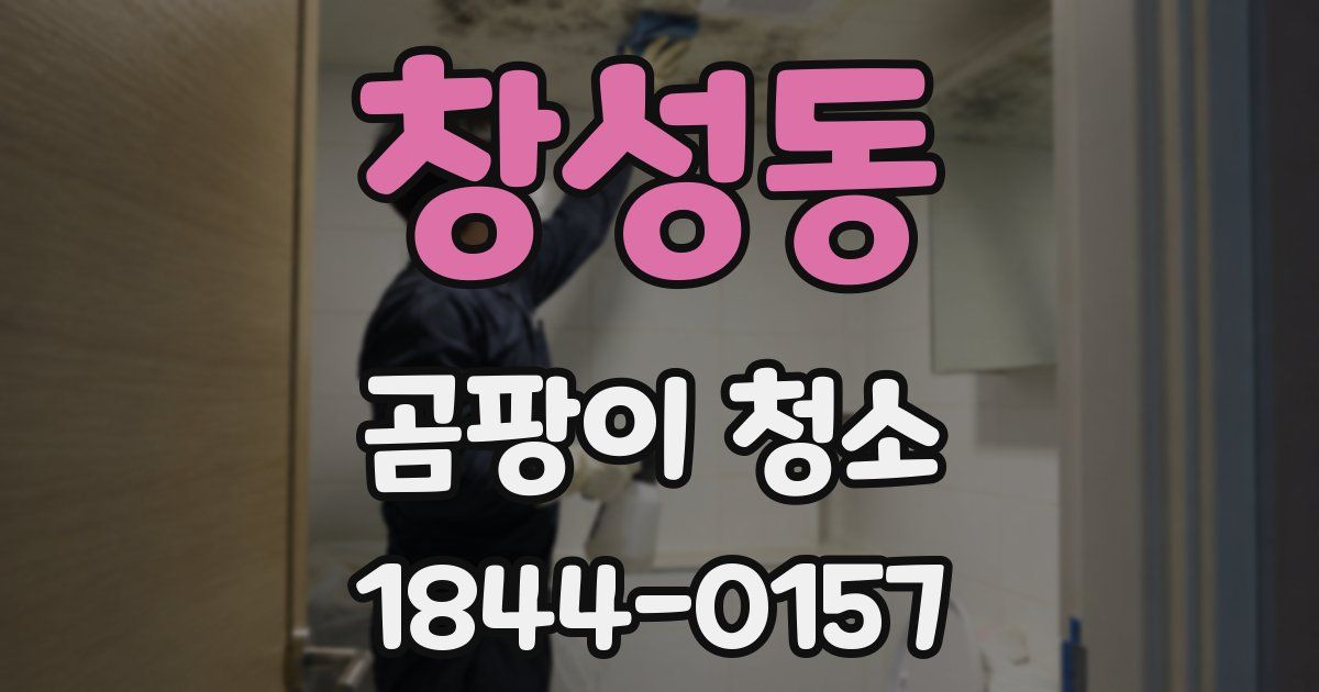 창성동 곰팡이 청소