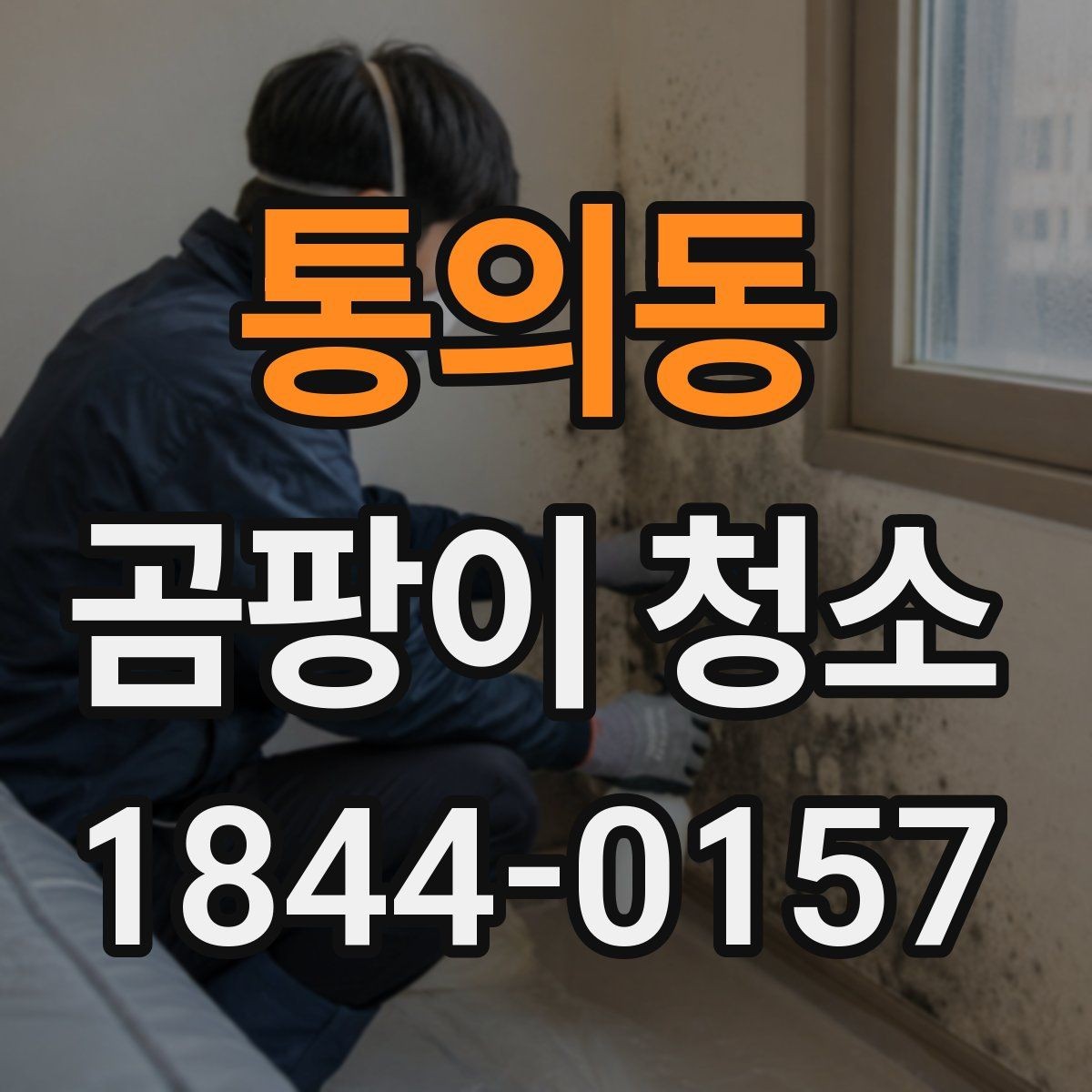통의동 곰팡이 청소 실내 습도가 높을 때 재발을 줄이는 관리법