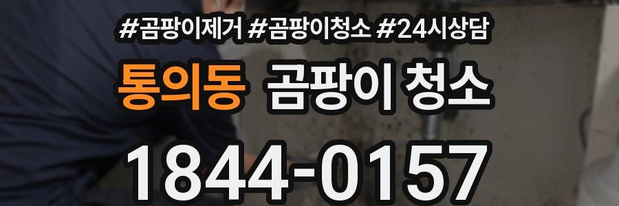 통의동 곰팡이 청소